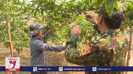 Chăm lo đời sống cho đồng bào dân tộc Mông ở Mộc Châu