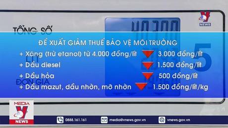 Đề xuất giảm thuế bảo vệ môi trường với xăng, dầu