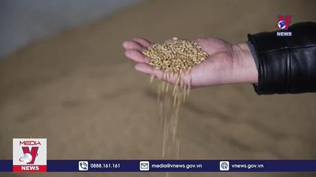 Chuỗi cung ứng toàn cầu chống chịu vì xung đột ở Ukraine