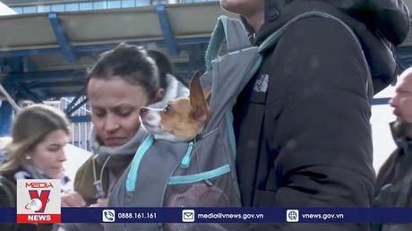 Ukraine nỗ lực thực thi thỏa thuận thiết lập hành lang nhân đạo