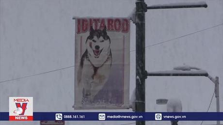 Khai mạc giải đua xe chó kéo lớn nhất thế giới