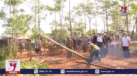Đắk Nông cưỡng chế các trường hợp lấn chiếm đất rừng 