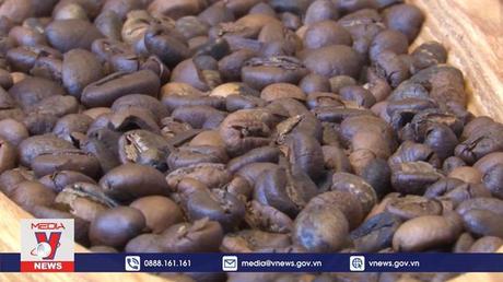 Việt Nam - Quốc gia xuất khẩu cafe lớn thứ hai vào Nhật Bản