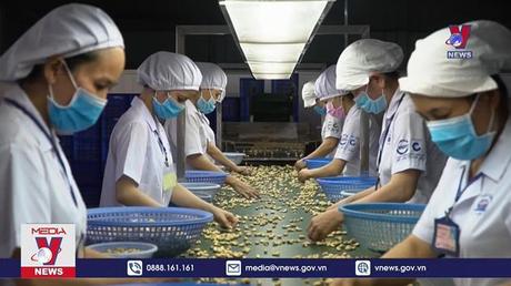 Mất quyền kiểm soát 36 container hạt điều