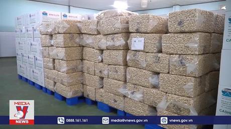 Tiến triển tích cực trong vụ 100 container hạt điều xuất khẩu sang Italy