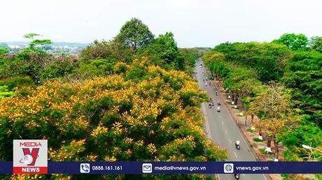 Đề xuất lập Quỹ bảo tồn di sản Huế