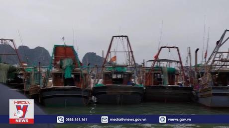 Ngư dân Quảng Ninh lao đao do giá nhiên liệu tăng cao