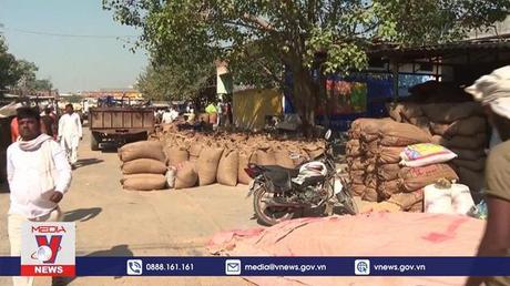 FAO cảnh báo khủng hoảng lương thực thế giới do xung đột Nga-Ukraine