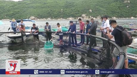 Khánh Hòa hướng tới phát triển bền vững nuôi trồng thủy sản