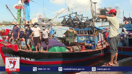 Xăng dầu tăng giá, nhiều tàu cá Quảng Ngãi nằm bờ