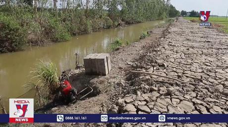 Xâm nhập mặn tiếp tục lấn sâu vào nội đồng ÐBSCL