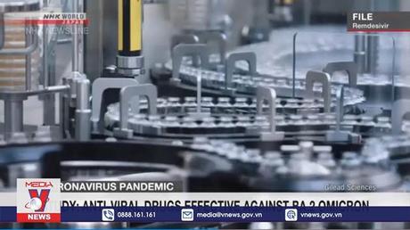 Ba loại thuốc kháng virus hiệu quả với Omicron BA.2