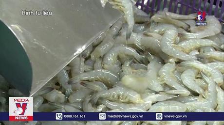 Nhiều lô hàng thuỷ sản Việt Nam xuất khẩu liên tục bị trả về