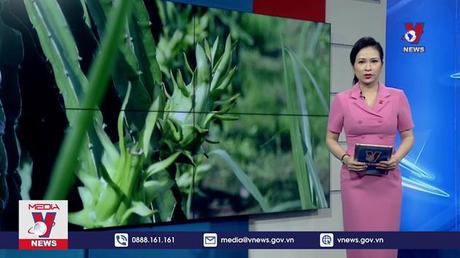 Rau quả xuất khẩu sang Trung Quốc giảm gần 26%