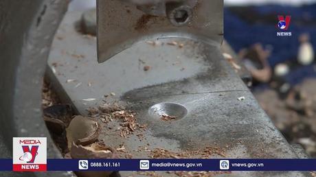 Phát triển Mắc ca thành ngành hàng sản xuất hiệu quả, bền vững