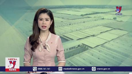 Xuất khẩu thủy sản tăng mạnh tại các thị trường có FTA