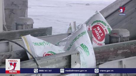 Giá phân bón ở mức cao nhất trong khoảng 50 năm qua