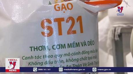 Xuất khẩu gạo sẽ nhộn nhịp hơn