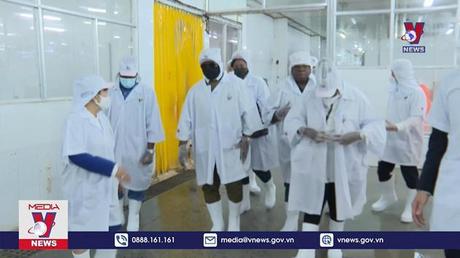 Tổng thống Cộng hòa Sierra Leone thăm Viện lúa ĐBSCL

