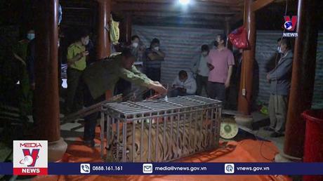 Bắt giữ 3 đối tượng giết mổ động vật hoang dã cấp quý hiếm