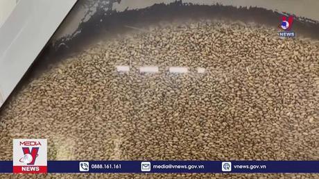 Hậu quả của xung đột Ukraine đối với kinh tế thế giới