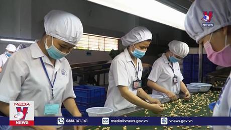 Bộ GTVT sẽ đồng hành cùng doanh nghiệp xuất khẩu điều