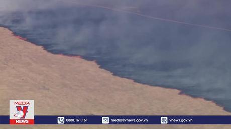 Hàng trăm người phải sơ tán do cháy rừng tại Texas, Mỹ