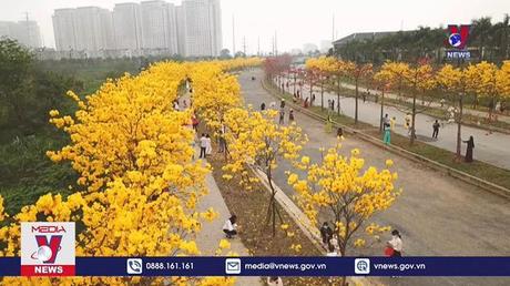 Đường hoa Phong Linh, Hà Nội dừng đón khách