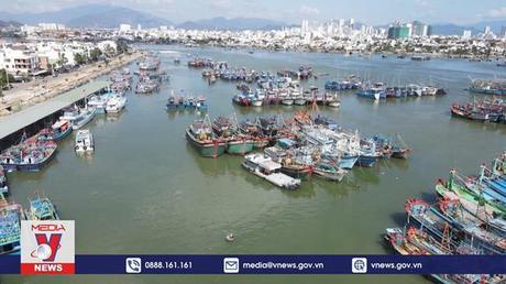 Giá xăng dầu cao khiến ngư dân Khánh Hòa 