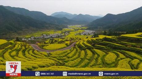 Trung Quốc thúc đẩy nông nghiệp xanh