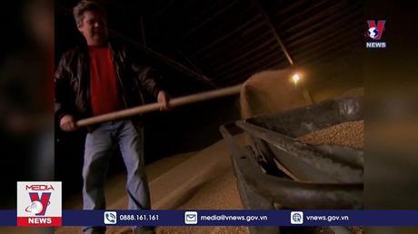 Xung đột ảnh hưởng nguồn cung lương thực ở Ukraine