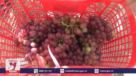 Sức hút từ du lịch cộng đồng ở Ninh Thuận