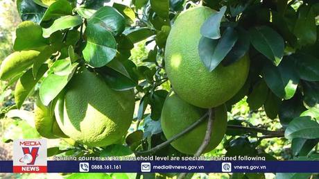 Phim tài liệu : 5 hợp tác xã kiểu mới quy mô lớn