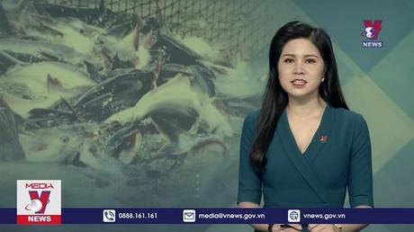 Kiểm soát thả nuôi ồ ạt cá tra tránh cung vượt cầu