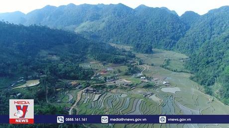 Tuyên Quang phát triển rừng gỗ lớn nâng cao giá trị kinh tế rừng trồng