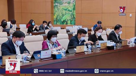 Cho ý kiến về dự án Luật Thực hiện dân chủ ở cơ sở