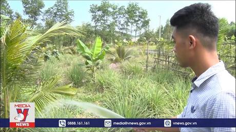 Những gương sáng thanh niên khởi nghiệp