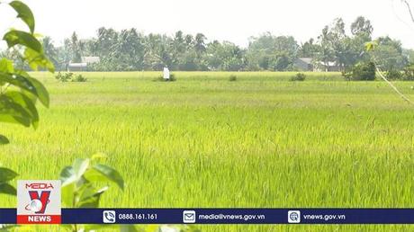 Bạc Liêu chủ động ứng phó hạn mặn