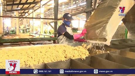 Hàn Quốc tăng nhập khẩu cao su từ Việt Nam