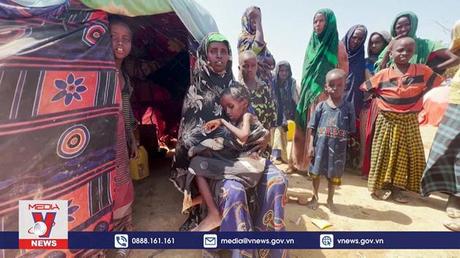 WTO cảnh báo nguy cơ bất ổn tại các nước nghèo