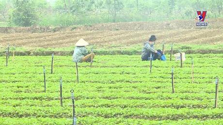 Sức mạnh đại đoàn kết ngày 27/3/2022