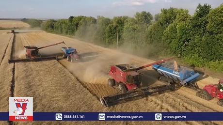 Ukraine xuất khẩu lô ngũ cốc đầu tiên sang châu Âu bằng đường sắt