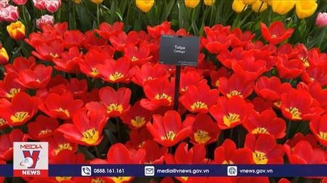 Công viên hoa lớn nhất thế giới