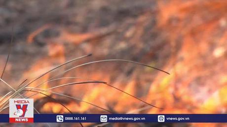 Gia Lai chủ động chống cháy rừng 