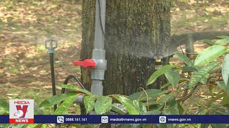 Xây dựng vùng nguyên liệu nông, lâm sản bền vững