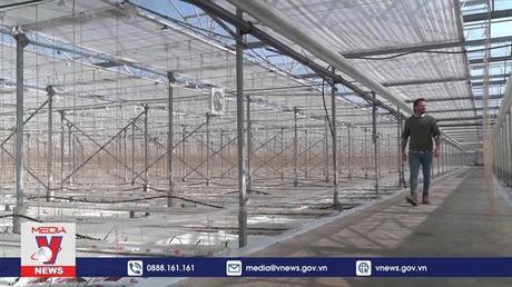 Viễn cảnh ảm đạm của nông nghiệp Anh