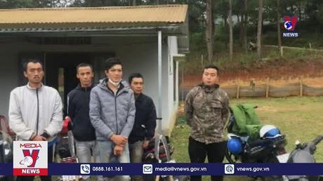 Lâm Đồng bắt quả tang 5 đối tượng phá rừng phòng hộ 