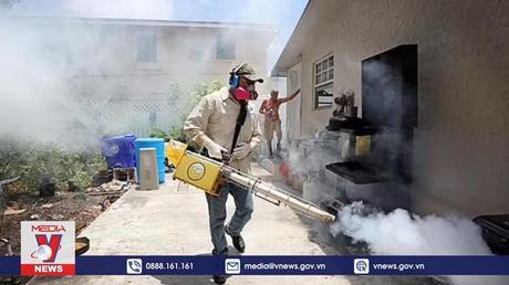 WHO cảnh báo nguy cơ đại dịch từ côn trùng