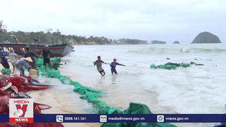 Phú Yên khẩn trương cứu 13.000 ha lúa bị ngập úng