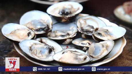 Phim tài liệu: Mặn mòi Vạng biển - Món ăn nơi thủy triều